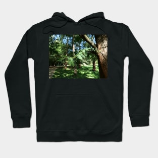 Tree leaves and sunlight - what more you want from nature Hoodie